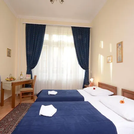 Budapest City Central Hotell 3*